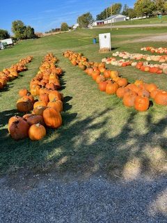 Pumpkins with your pumpkin. Pumpkin patches like Boggio's and Kane Family Farms are great places to pick out the perfect gourd with your guy or gal. 