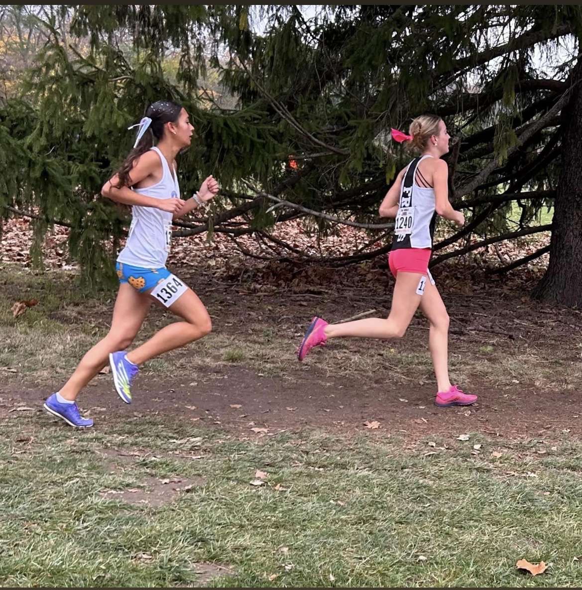 Senior Shaylen Quinn runs at the 2A state meet, becoming the fourth Ottawa Lady Pirate to run at state. This took place on Saturday, November 9 at Detweiller Park in Peoria, Illinois. With many friends and family there to support her, she finished the last race of her high school career.  