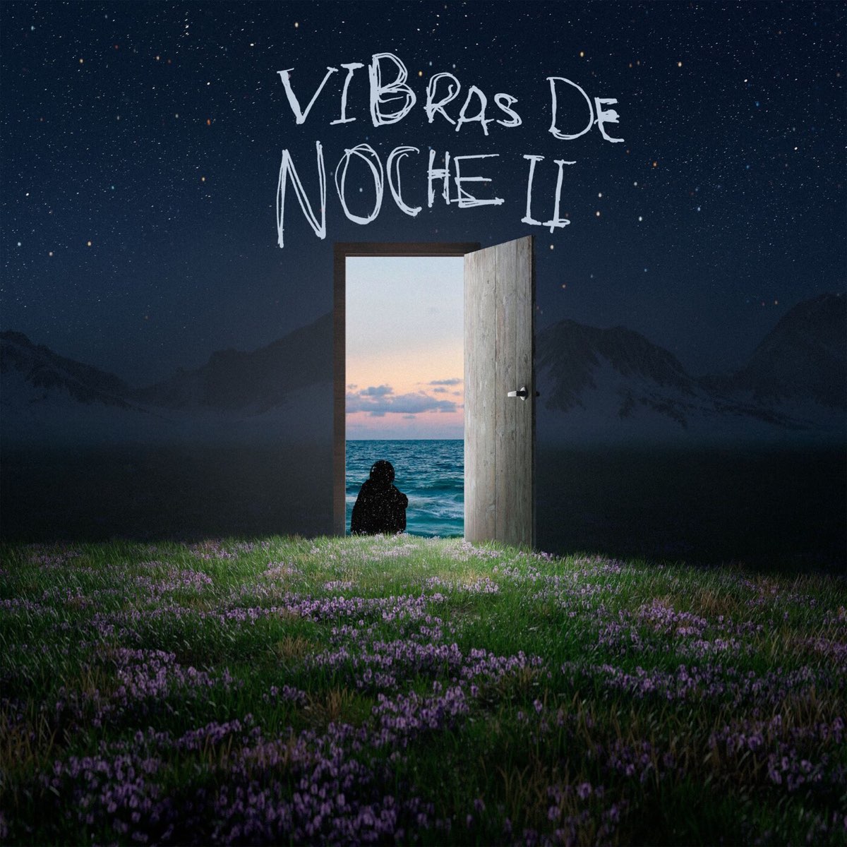 The album cover of "Vibras De Noche II," reflects the theme of heartbreak and love from this album.