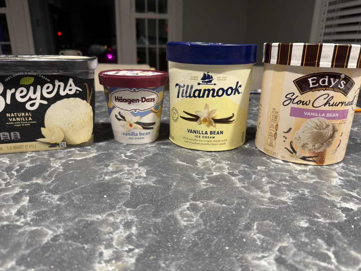 Look at all that vanilla. These are all of the ice-creams I bought laid out. "My favorite ice-cream was the Haagen-Dazs." said my sister.