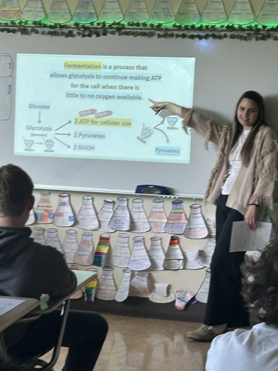 This is Rader teaching her 3rd hour class, they were talking about photosynthesis and having a good time. 
